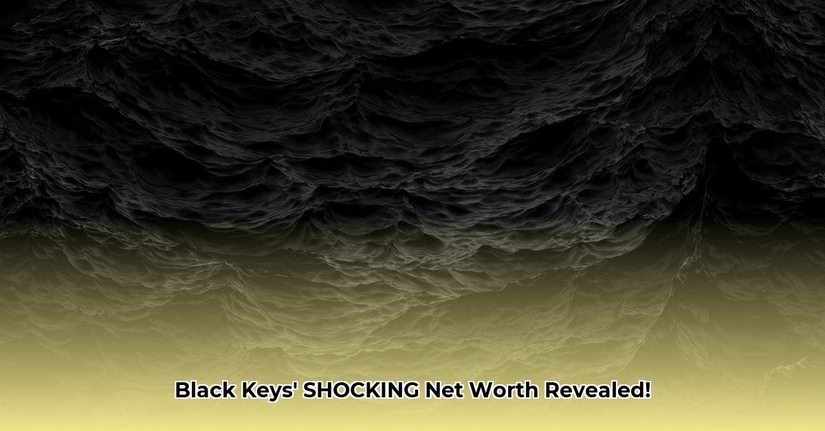 the-black-keys-net-worth